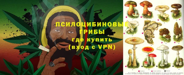 твердый Алексин