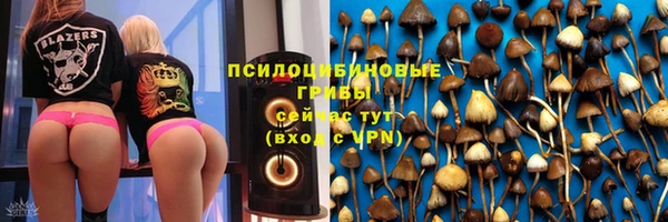 ПСИЛОЦИБИНОВЫЕ ГРИБЫ Абдулино
